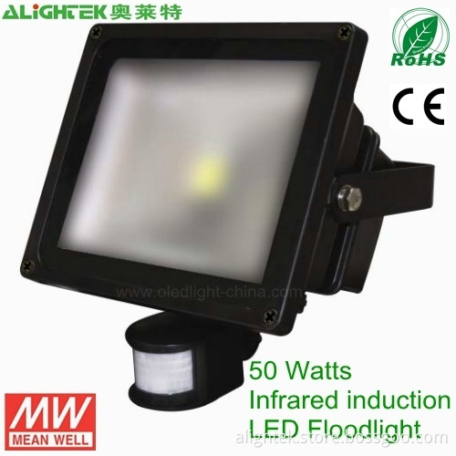 40w~50w Ir Led Floodlight With Pir Motion Sensor(inductor)